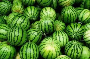 牛奶吃瓜群660436,揭秘神秘社交圈的独特魅力