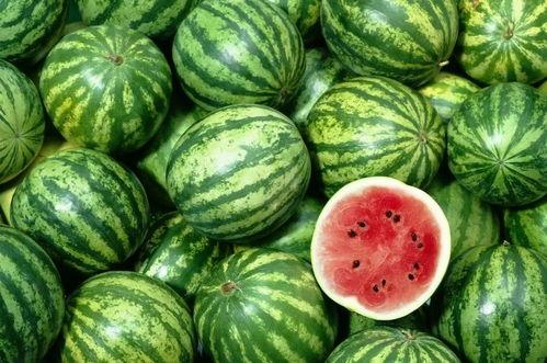 吃西瓜保护我的瓜,吃瓜行动，共筑绿色家园