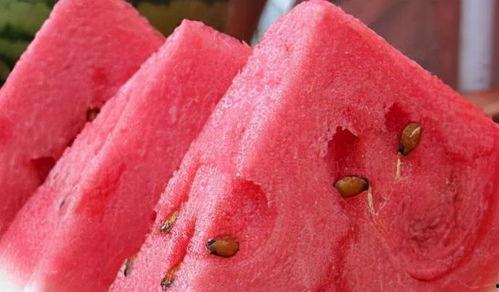 脑子吃瓜你吃瓜皮,揭秘网络热语背后的文化现象