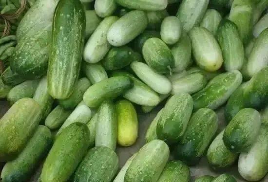 湖州毗山吃瓜,清凉一夏，尽享田园风情