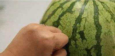 怎么吃瓜最有效,如何吃瓜更有效，轻松掌握夏日消暑秘籍