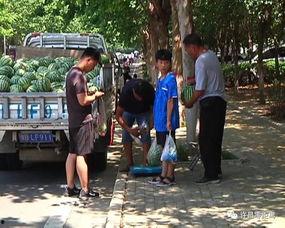 买瓜回家吃瓜群众,共享甜蜜时光