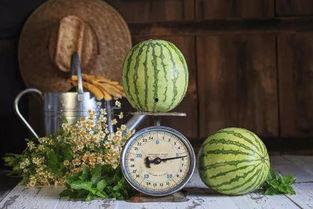 吃瓜吃嗨的图片