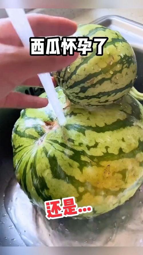 吃搞笑瓜,盘点那些让人捧腹大笑的搞笑瓜