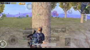 和平精英游戏吃瓜,吃瓜群众揭秘游戏幕后趣事