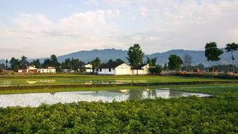 葛仙山吃瓜比赛,一场别开生面的吃瓜盛宴