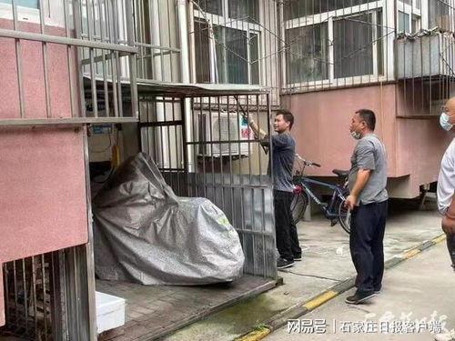 吃瓜李阿姨,揭秘娱乐圈背后的故事