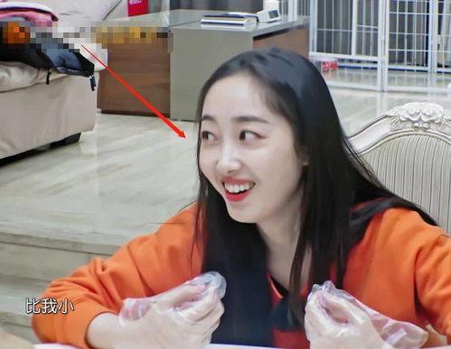 张雪吃瓜事件,揭秘网络舆论的狂欢与反思