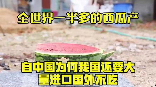 国外评论中国吃瓜,娱乐与文化的碰撞