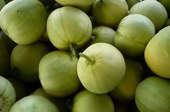 瓜吃皮吃瓤甜瓜,探索甜瓜的多重口感魅力