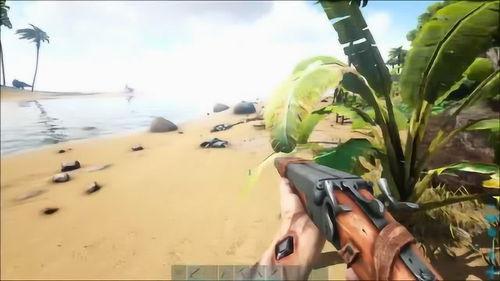 星云吃瓜后续,揭秘娱乐圈背后的秘密与真相