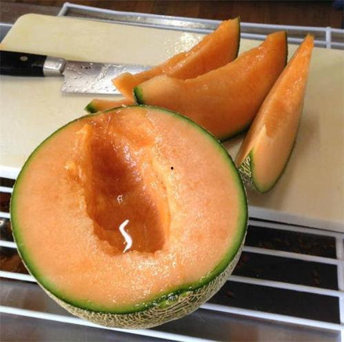 吃瓜照片不露头,揭秘不露头照片背后的故事