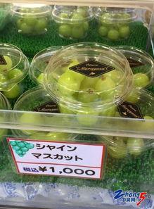 吃一万颗哈密瓜,揭秘吃下一万颗哈密瓜的壮举