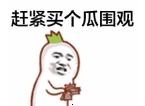 吃瓜群众爱吃瓜123,揭秘“爱吃瓜123”背后的瓜界风云