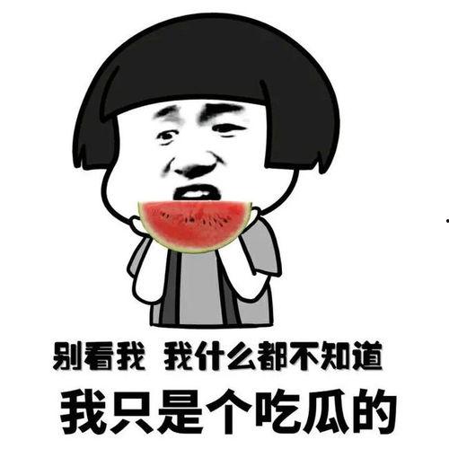 库尔勒吃瓜新闻最新,揭秘新疆库尔勒吃瓜新闻背后的甜蜜故事