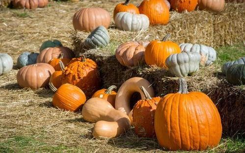 消防栓吃瓜,一场吃瓜引发的消防大作战