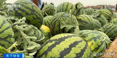 全网全吃瓜,全吃瓜事件大揭秘！