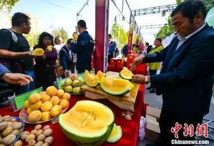 济宁近期吃瓜新闻