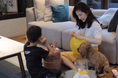 董董疯狂吃瓜,揭秘娱乐圈幕后故事