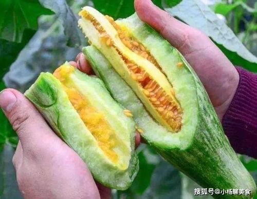 棚瓜哪个季节吃,夏季消暑佳品，尽享棚内新鲜美味