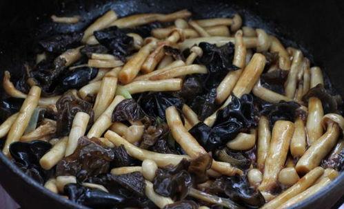 吃瓜小熊海鲜菇,吃瓜小熊带你探索海鲜菇的鲜美奥秘