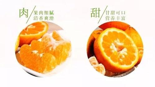 临沂泰盛吃瓜,吃瓜群众的欢乐盛宴