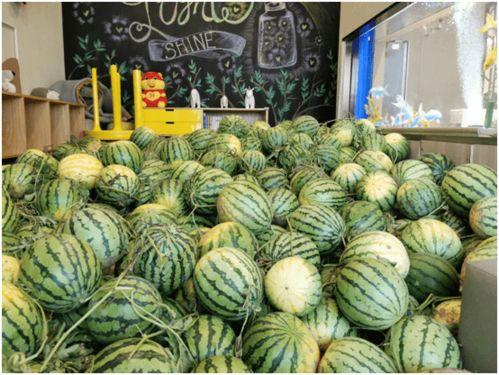 肥乡美吧小铺吃瓜,瓜果飘香，品味夏日清凉