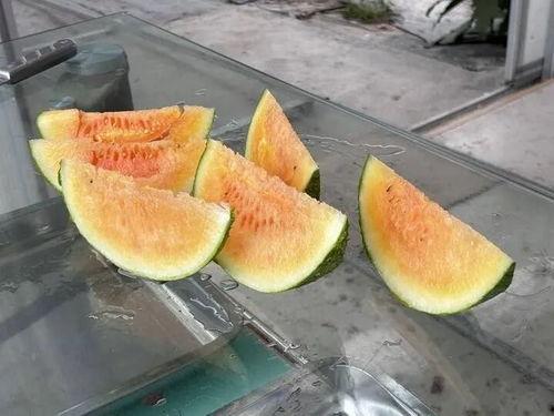 肥乡美吧小铺吃瓜,瓜果飘香，品味夏日清凉