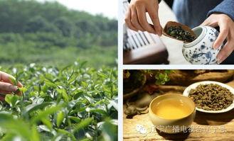 宝宝吃奶大人吃瓜,大人共享瓜果时光