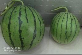 吃瓜影视片,揭秘娱乐圈幕后故事