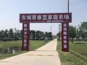 界首吃瓜榜,揭秘当地热门话题与趣味事件