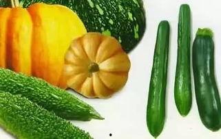 青岛戈优吃瓜,夏日吃瓜盛宴，尽享清凉一夏