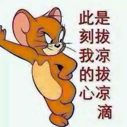 群众吃瓜记大全,揭秘网络热议背后的真相与笑料