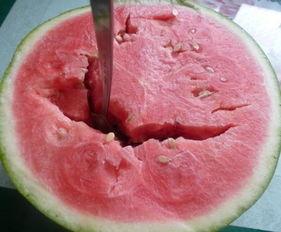 吃瓜人不吐壳,揭秘娱乐圈的甜蜜与苦涩