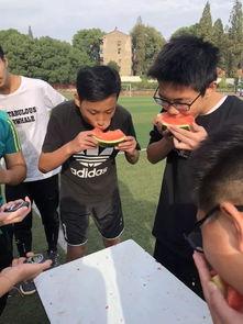 吃瓜接力赛,一场全民参与的趣味盛宴