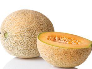 产妇可以吃土瓜吗,土瓜的适宜与禁忌