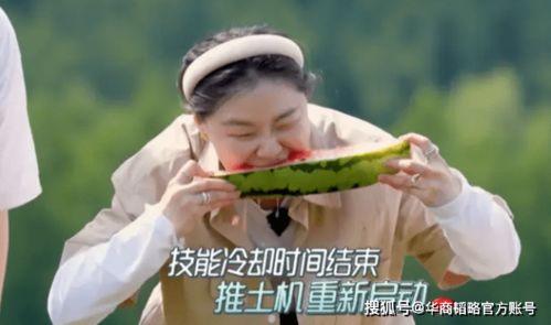 吃瓜的背后逻辑,揭秘吃瓜群众背后的心理动机与社交逻辑